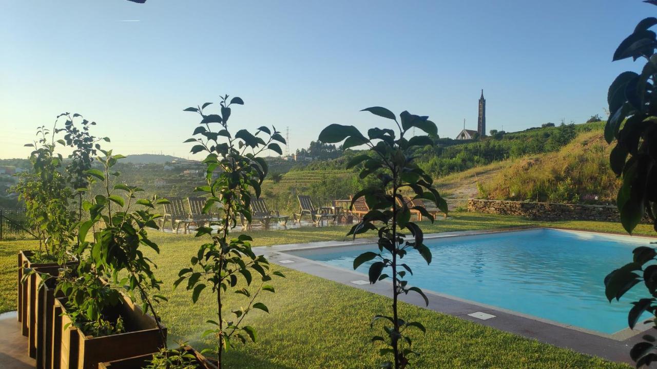 Villa Quinta Do Outono à Armamar Extérieur photo