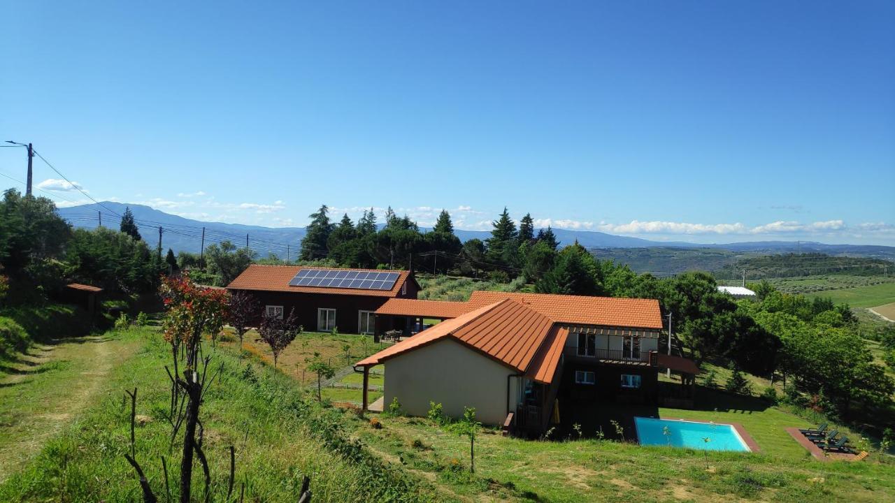 Villa Quinta Do Outono à Armamar Extérieur photo